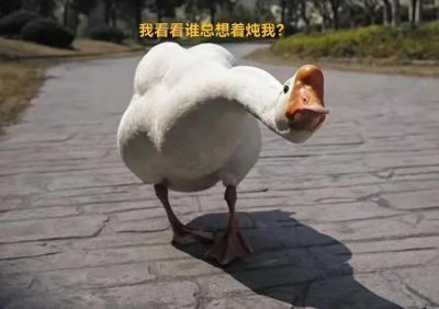 中国最好的温泉在什么地方 国内最值得打卡的知名温泉