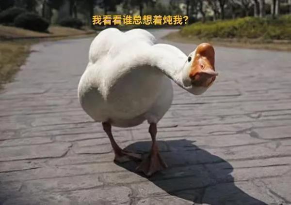 中国最好的温泉在什么地方