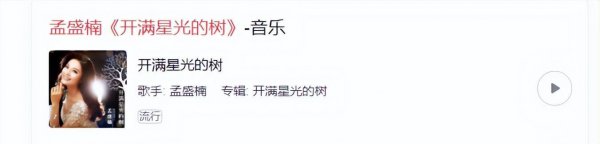 孟盛楠的婚史情况