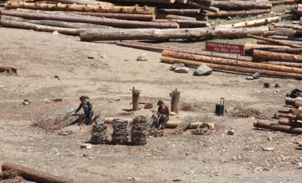 过去放排是干什么的