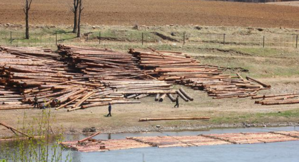 过去放排是干什么的