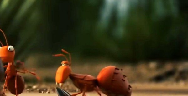 蚂蚁是不是昆虫