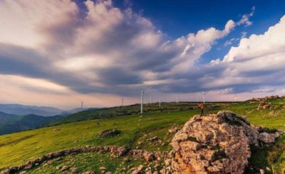 雪绒花是什么花 高山之花雪绒花究竟长什么样子