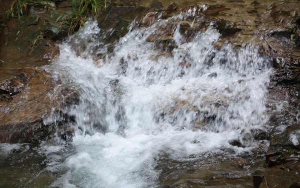 等电位联结端子箱是什么作用