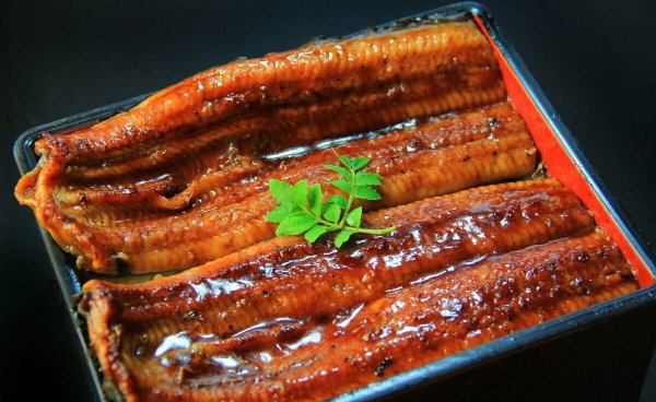 八目鳗鱼是什么鱼种类