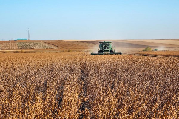 寒来暑往秋收冬藏什么意思