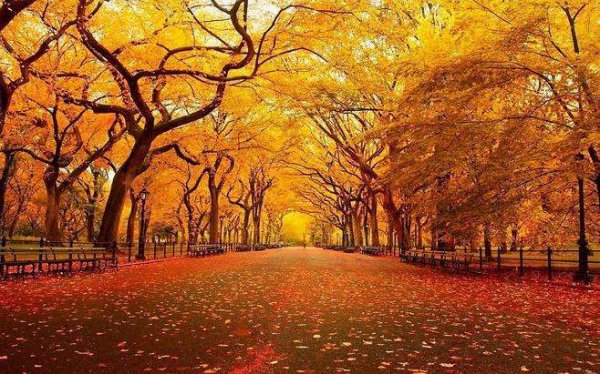 寒来暑往秋收冬藏什么意思