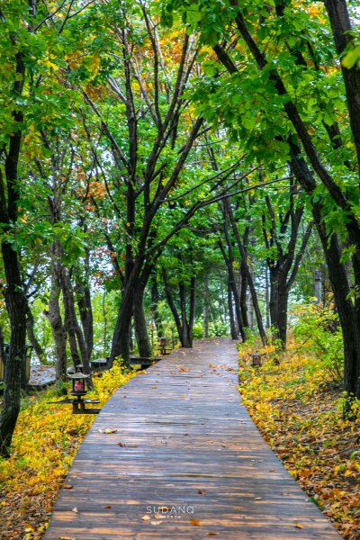 延边是哪个省的地级行政区