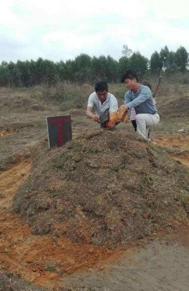 新坟前三年有什么讲究