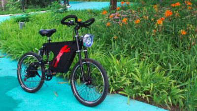 飞鸽电动车怎么样 飞鸽电动助力自行车的评测分析