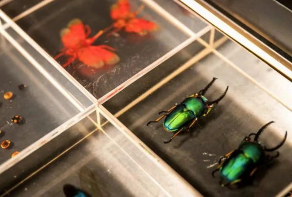 上海酒吧排名前10位