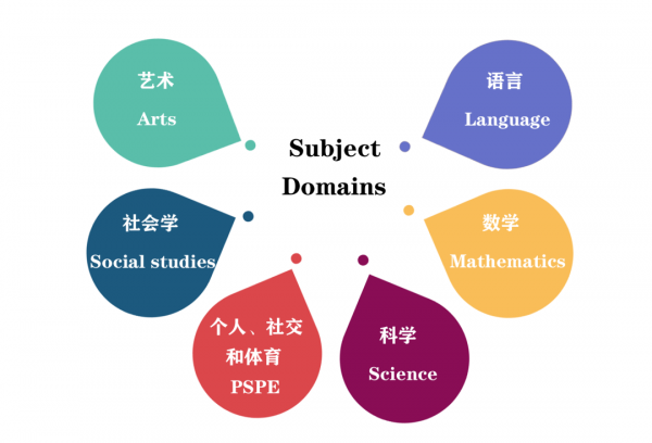 ib课程是什么意思