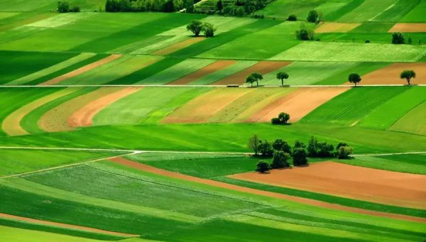 法国人口和面积是多少