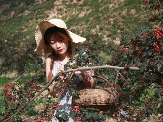 天水市属于哪个省