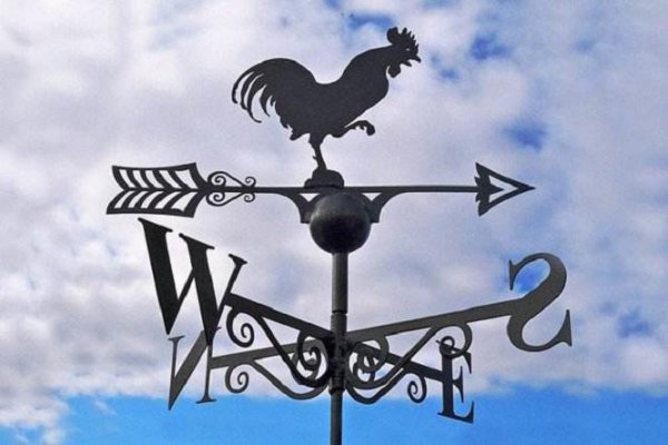 高卢鸡是哪个国家的象征