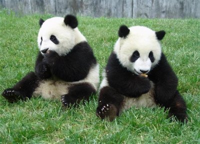 四川省面积多少平方公里 天府之国四川省综合实力到底如何