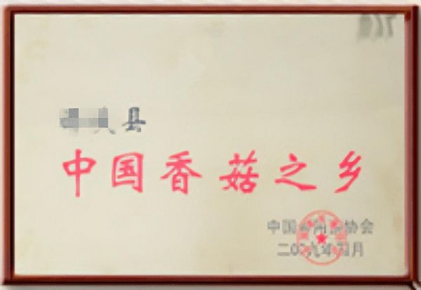 中国香菇之乡在哪里