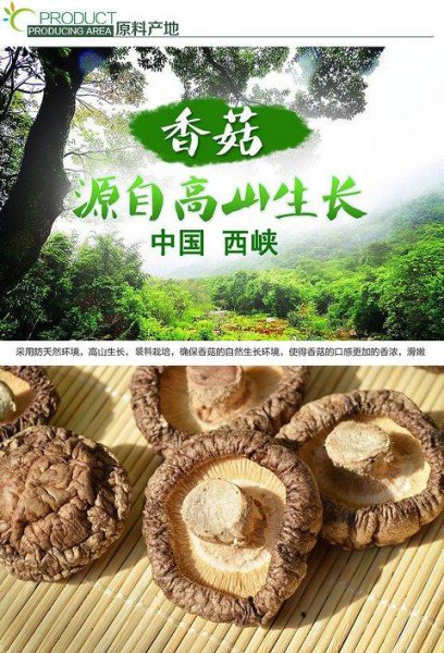 中国香菇之乡在哪里