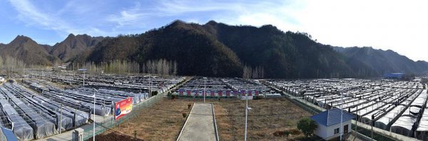 中国香菇之乡在哪里