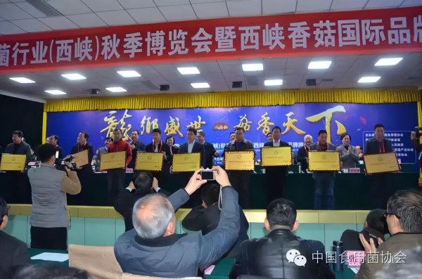 中国香菇之乡在哪里