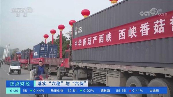 中国香菇之乡在哪里