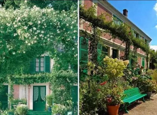 睡莲是谁的作品