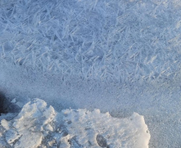 不相为谋的上一句是啥