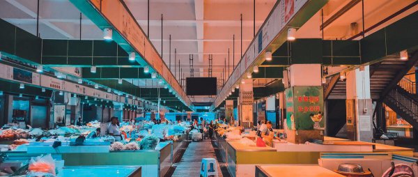 云南有哪几个市