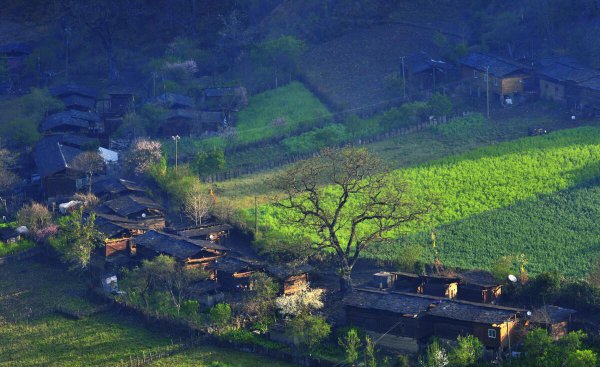 云南有哪几个市