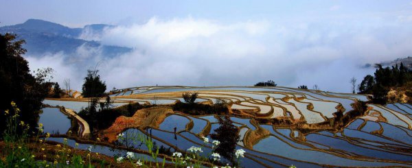 云南有哪几个市