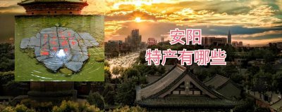 安阳特产有哪些能带走 去安阳不能错过的12种特产