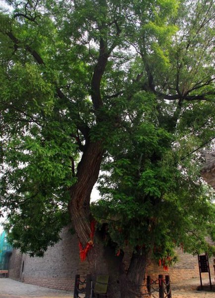 张壁古堡在山西什么地方