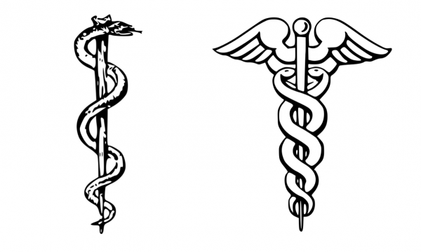 中国急救标志为什么是蛇