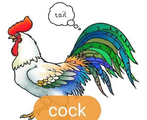 鸡尾酒是什么酒