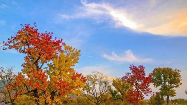 大悟县属于哪个市管辖