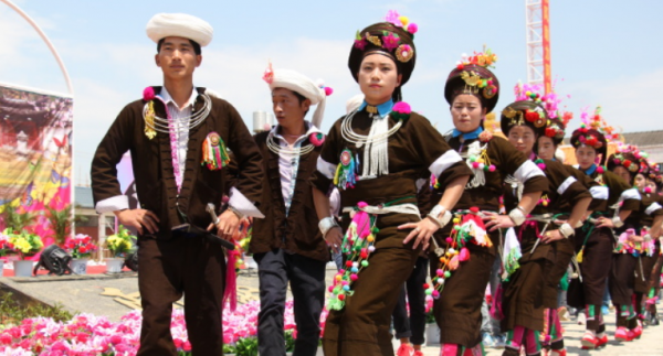 云南多少个民族