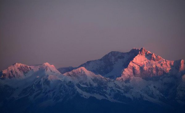 最绝情的星座有哪些