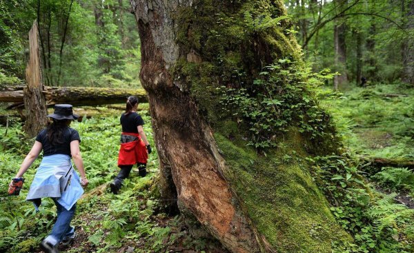 林芝市海拔高度是多少米