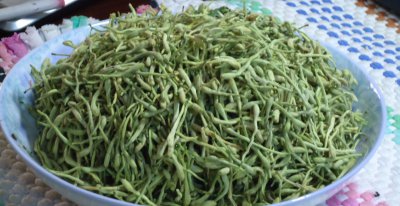 金银花还叫什么名字 金银花的产地主要位于哪里