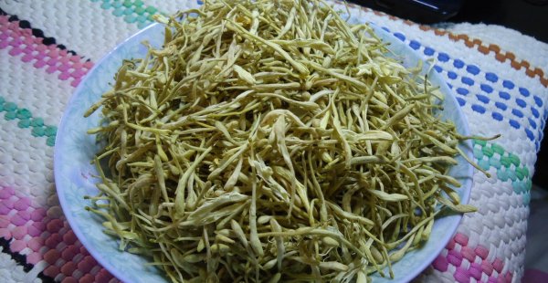 金银花还叫什么名字