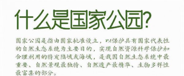 目前中国有多少只大熊猫