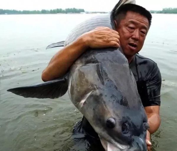 中国钓鱼大师排名