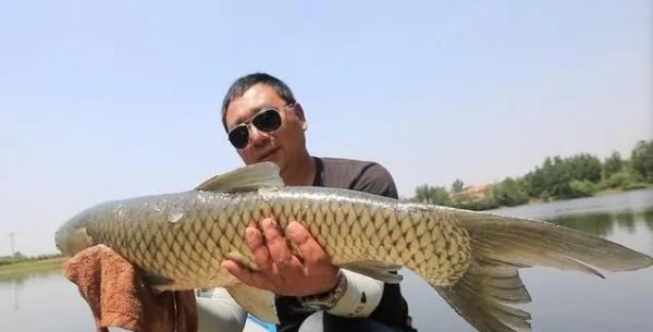 中国钓鱼大师排名