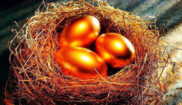 企业孵化器是什么意思