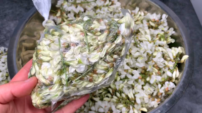 槐花怎么保存到冬天 新鲜洋槐花如何保存让口感如初