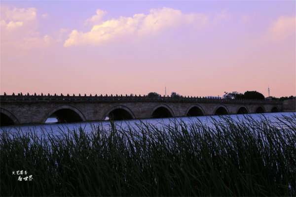 卢沟桥的狮子有多少个