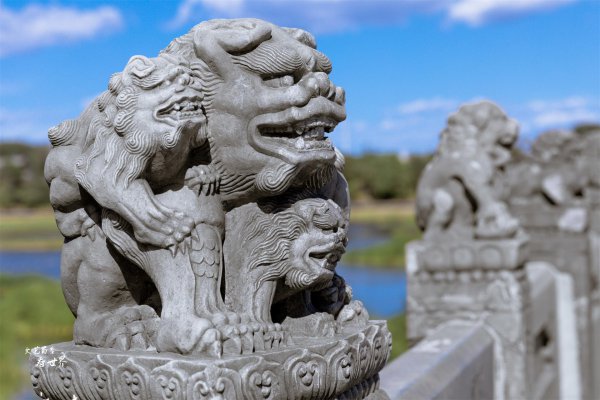 卢沟桥的狮子有多少个
