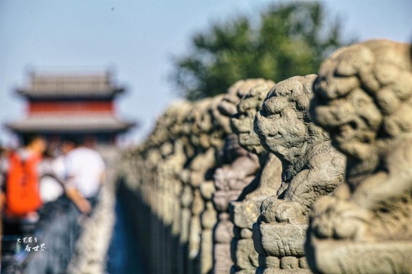 卢沟桥的狮子有多少个