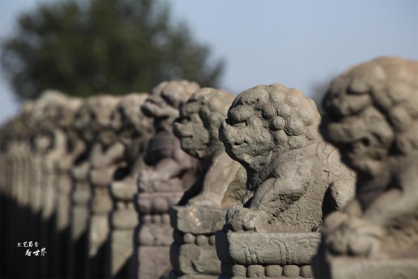 卢沟桥的狮子有多少个