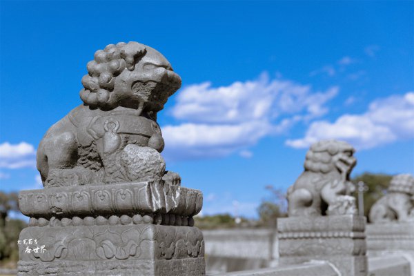 卢沟桥的狮子有多少个